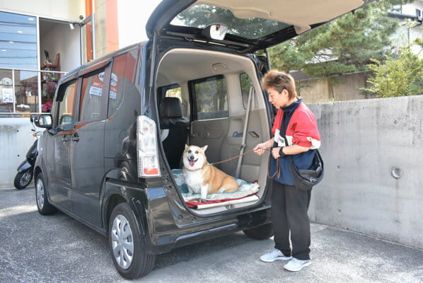 送迎サービスも行っています
